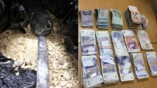Saisie de 10,5 kilos d’héroïne à Trou-aux-Biches : une forte somme d’argent aussi retrouvée sur les lieux