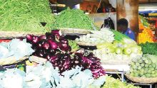 Production locale : les récentes averses ont été bénéfiques pour les cultures de légumes