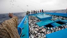Zone Économique Exclusive : 1423 permis octroyés pour pêcher dans nos eaux territoriales