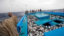 Promesse de Soodhun : le don de Rs 70 millions aux pêcheurs introuvable
