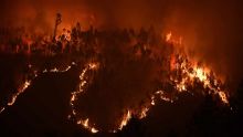 Pas de répit sur le front des incendies au Portugal qui pleure 62 morts