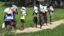 Crise humanitaire : des vivres et des médicaments des Mauriciens aux Rohingya