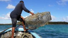 500 pêcheurs obtiendront leurs cartes professionnelles, assure Sudheer Maudhoo