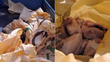 Dubreuil : 217 kilos de poulet avarié saisis par la police