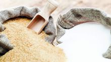 Agro-industrie : la production sucrière chute de 18% en 2020