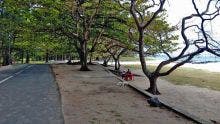 Déclassement de 17 arpents de plage à Saint-Félix : deux collectifs citoyens réclament une révision judiciaire