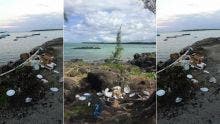 Pollution : l’îlot-Bernache, île-poubelle