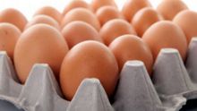 Consommation : le plateau d’œufs vendu entre Rs 25 et Rs 50 plus cher