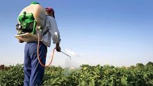 Agro-industrie - Les planteurs : «C’est difficile de ne plus utiliser de pesticides»