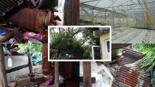 [En images] Forte tempête Calvinia : une maison en tôle détruite à Clémentia ; des dégâts conséquents notés dans l'Est 
