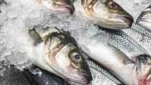Produits impropres à la consommation : 72,5 kilos de poissons saisis