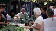 2e édition de l’Organic Farmer’s Market à Cascavelle : les produits ‘bio’ fabriqués localement à l’honneur