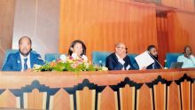 Droits des minorités : réunion pour la décennie internationale des personnes d’ascendance africaine – Région Afrique 2019