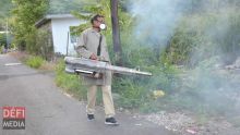 Dengue : une dizaine de personnes infectées à Roche-Bois