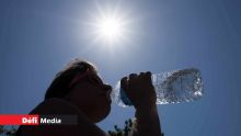 Extrême chaleur en janvier : température record de 35 °C atteinte