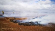 Morcellement St-André : incendie dans un champ de canne