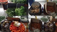 Vente de légumes sans permis : opération nettoyage à Mahébourg, le marchand interpellé par le sergent Oolun... dans les filets