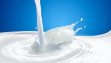 Top 10 des parutions dans les brochures - Promotion : les produits laitiers en pole position