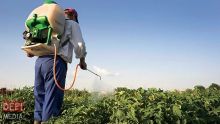  Pesticides : la réouverture des points de vente à l’étude