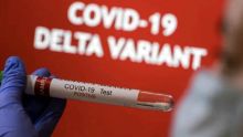 Covid-19 : les boucliers contre le variant Delta sont-ils assez solides ?