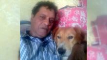 Appel à l’aide d’un habitant de Vacoas : «Mon chien a besoin d’une transfusion sanguine»