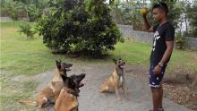 Jack Andrew Madanamoothoo : pour l’amour des chiens