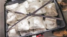 Importation de drogues : en six mois, 39 passeurs arrêtés