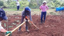 «Il faut mettre des terres à disposition des familles pauvres de Maurice» pour Manoj Seeborun