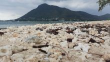 Les Salines Peninsula : ville hôtelière en devenir