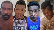 Dans le Sud : quatre voleurs présumés arrêtés