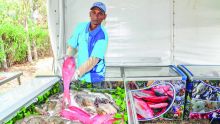 Après une période de ralentissement : le ‘Seafood Hub’ se refait une santé