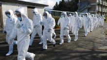 Cas de grippe aviaire au Japon, abattage de plus de 330.000 poulets et canards d'élevage