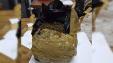 L’Adsu trouve 1,4 kg de drogue synthétique sur un terrain boisé à Péreybère