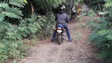 Forest Lane : la situation est vraiment difficile pour les habitants de Dhanush Lane, Le-Hochet, Terre-Rouge
