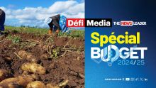 Budget 2024-25 - Agro-industrie : Une subvention de 50 % jusqu’à Rs 500 000 pour le Sheltered Farming