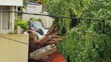 Cyclone tropical intense Batsirai : la galère des familles sinistrées