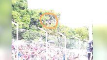 Finale de football Maurice/Réunion : deux spectateurs perchés sur un arbre pour suivre la finale 