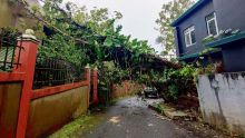 Curepipe : chute d’un arbre sur une maison, des dégâts constatés