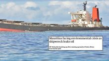 «Crise environnementale», «l'île touristique frappée» : la presse internationale commente la fuite d'huile du Wakashio 
