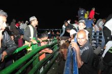 Fièvre aphteuse : les bœufs sains des trois fermes pourront être livrés pour le qurbani 