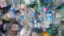 Nouvelle mesure budgétaire : le recyclage de bouteilles PET encouragé 