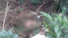 A Rivière-des-Anguilles : un cadavre découvert sur un terrain boisé