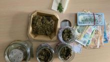 Trafic de drogue : un Russe arrêté avec du cannabis et Rs 540 000 en devises 