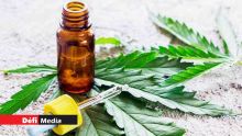Cannabis à usage médical : un rapport bientôt soumis au ministère de la Santé