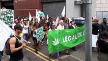 Le Kolektif 420 réclame la légalisation du cannabis médical à Maurice... en chantant