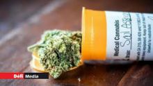 Cannabis à usage médical : le comité technique boucle ses travaux