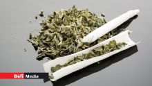 Rivière-du-Rempart : cannabis, papiers à rouler et tasers saisis chez un trentenaire