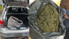 Trafic de drogue : 5,8 kg de cannabis saisis dans la capitale 