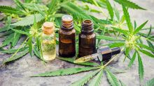 Cannabis médical : les premiers patients recevront leurs médicaments vers mars 2023
