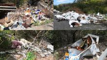 Pailles : Carcasses d’animaux et autres débris ménagers parsèment la Ring Road